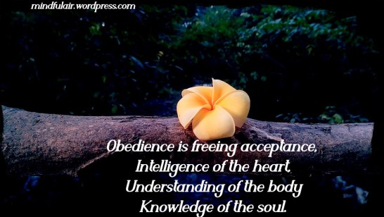 1024px-thumbnail (4)