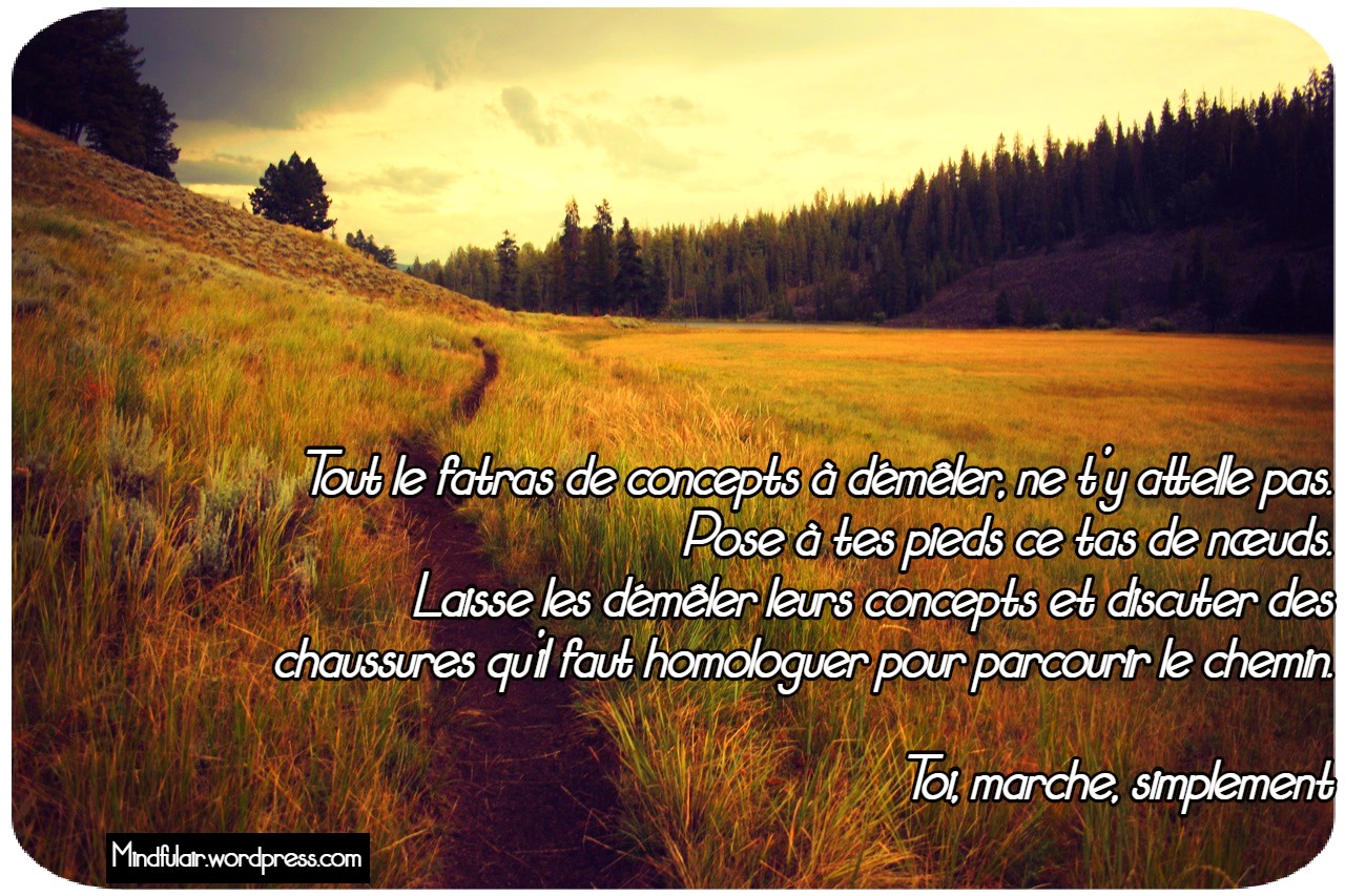 landscape-tree-nature-forest-path-grass-559-pxhere.com (1)