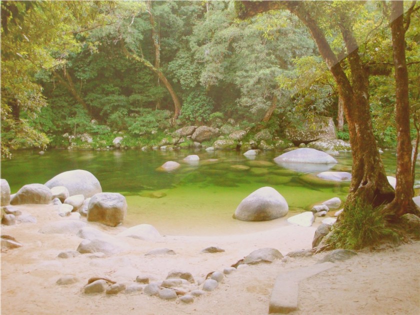 5t4t3rr8tt5trrt6r3t433